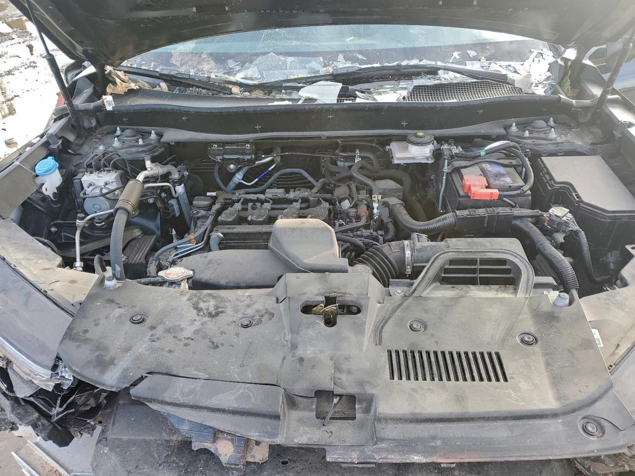 2024 HONDA CR-V LX photo 23
