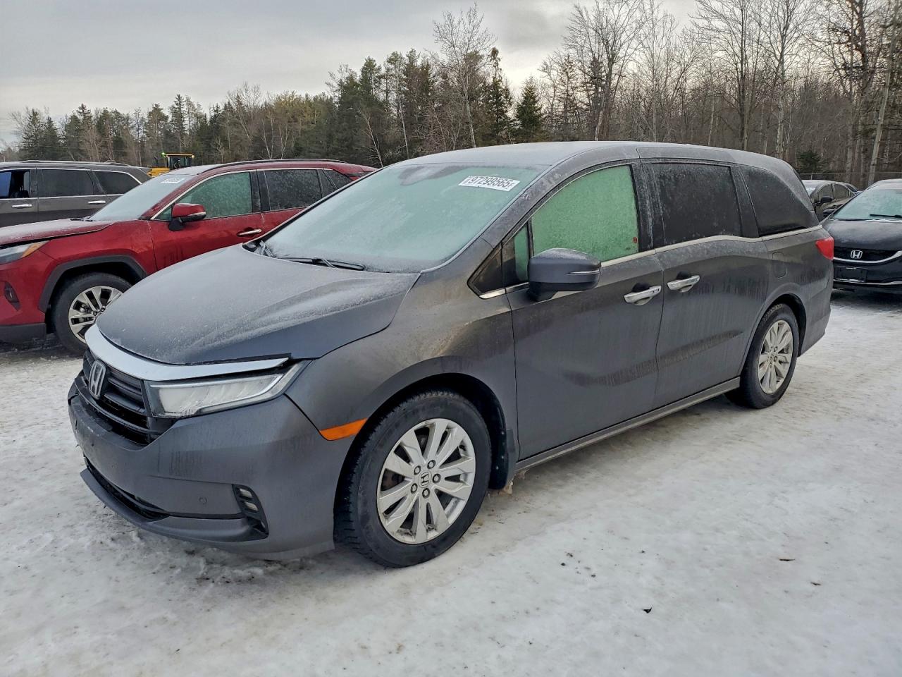2023 HONDA ODYSSEY