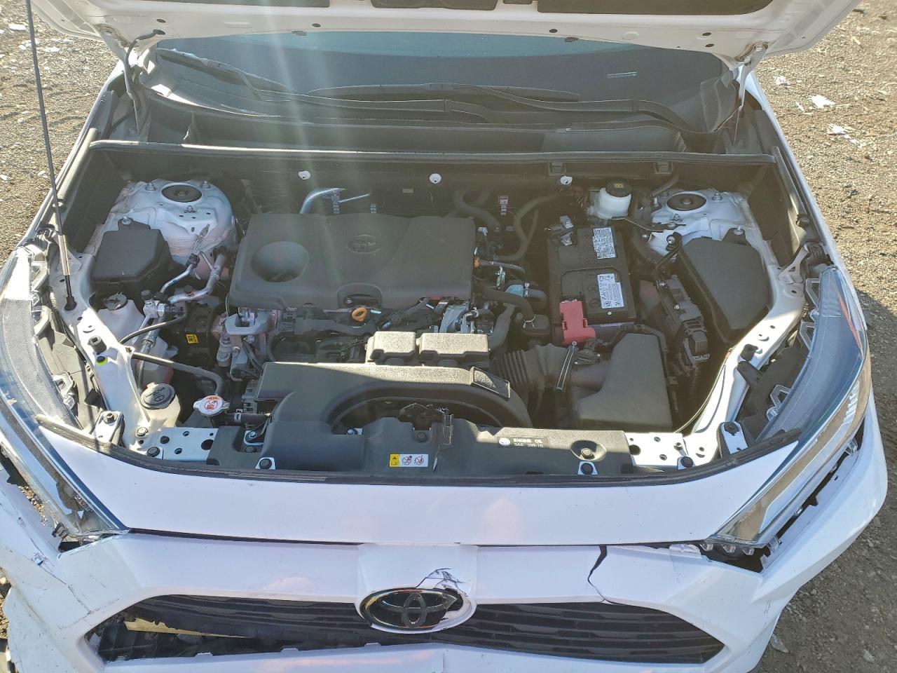 2021 TOYOTA RAV4 XLE photo 12