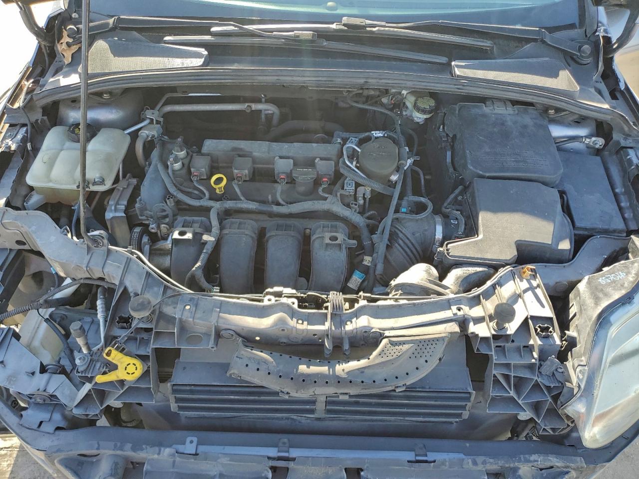 2014 FORD FOCUS SE photo 11