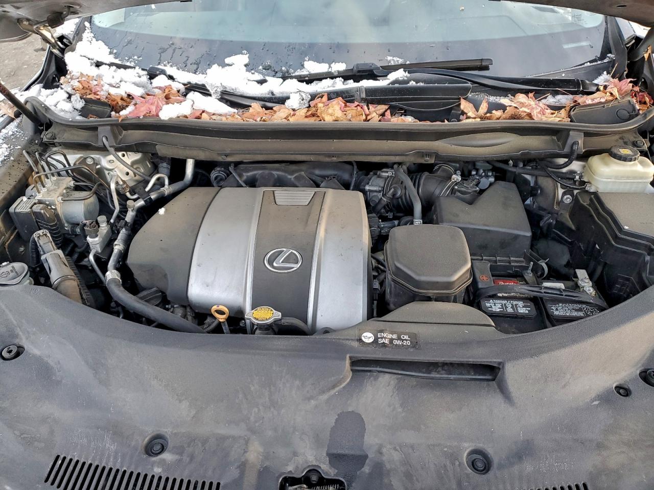 2017 LEXUS RX 350 BASE photo 12