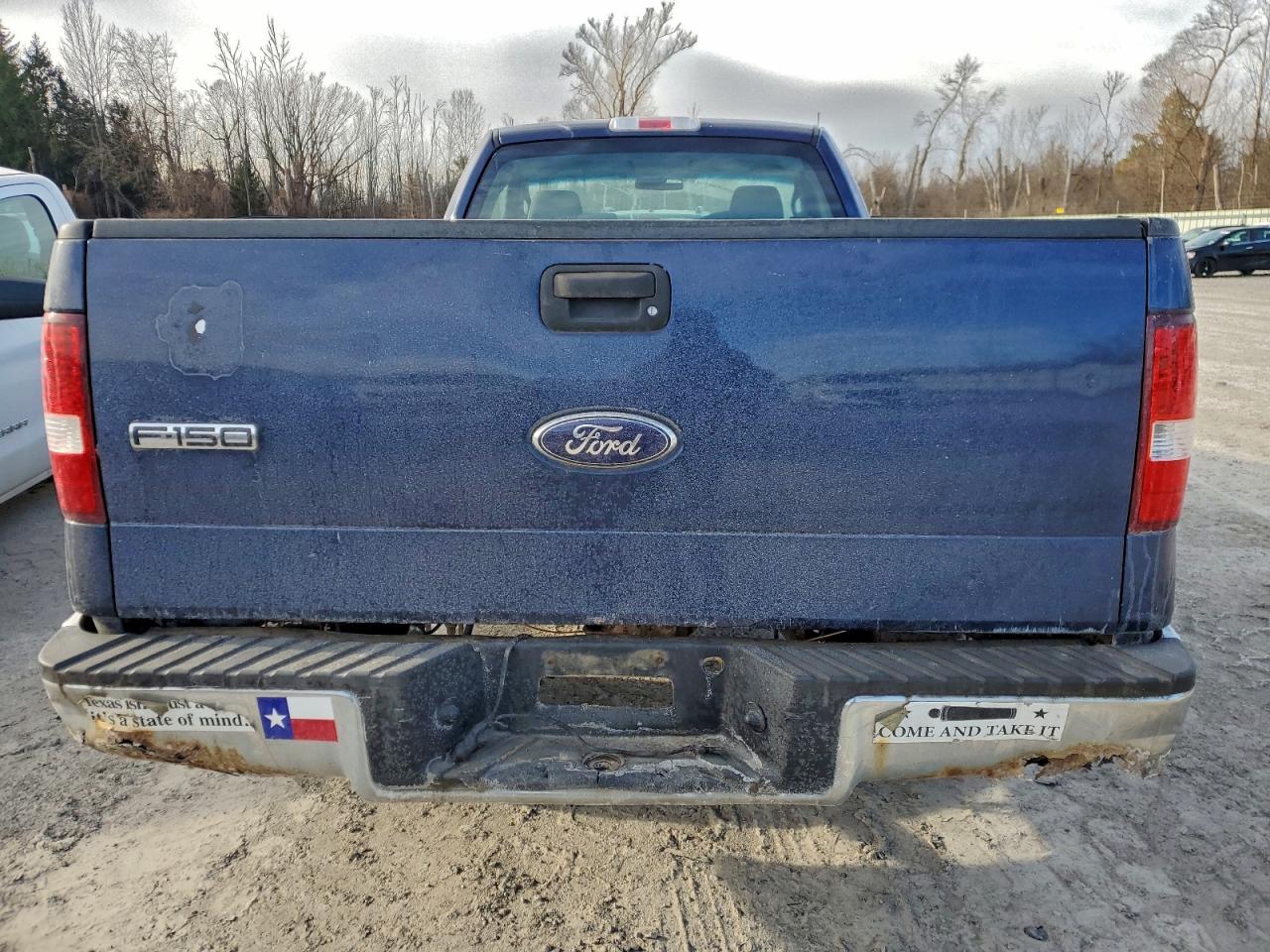 2008 FORD F150 photo 6