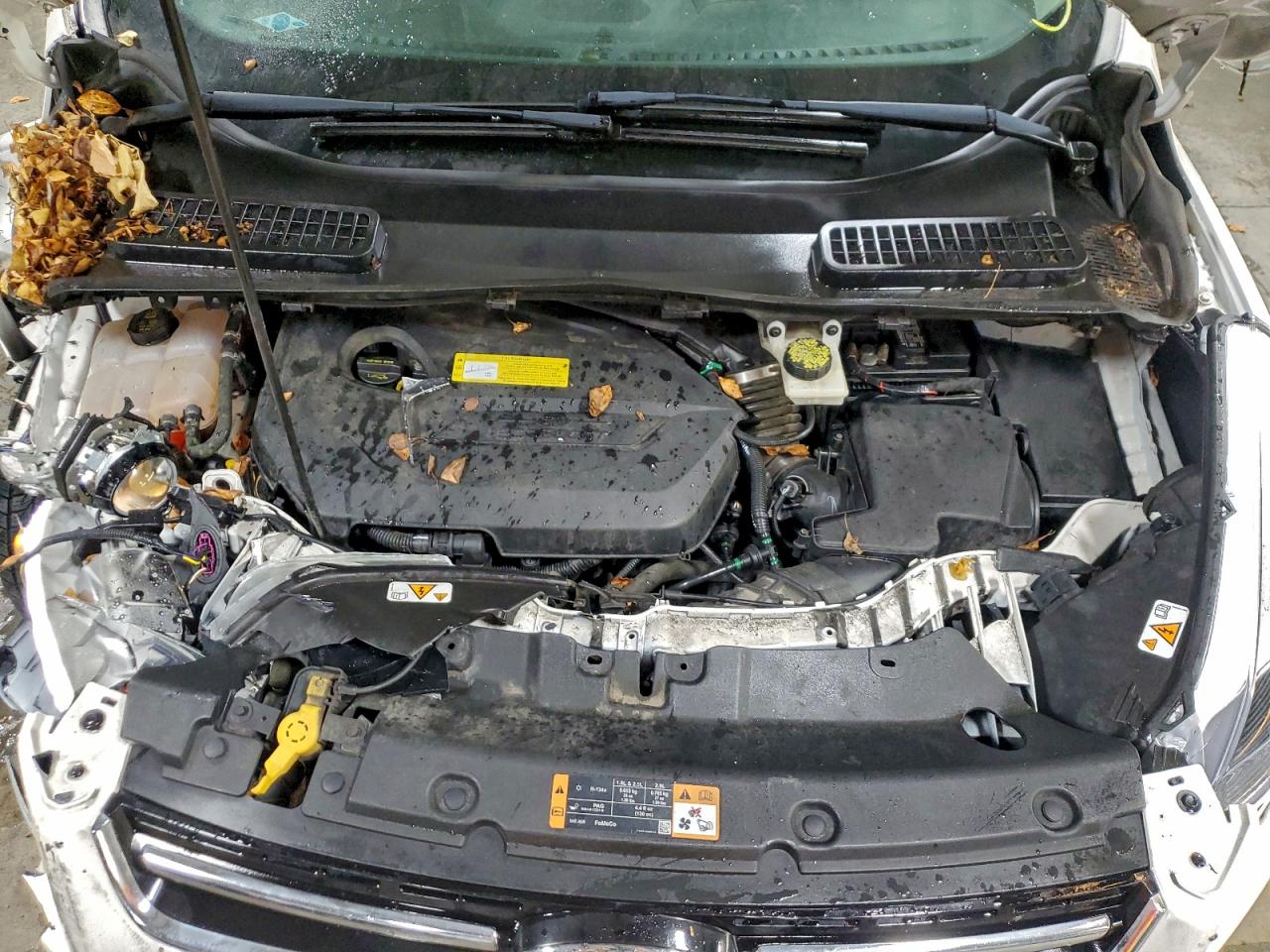 2014 FORD ESCAPE TITANIUM photo 11