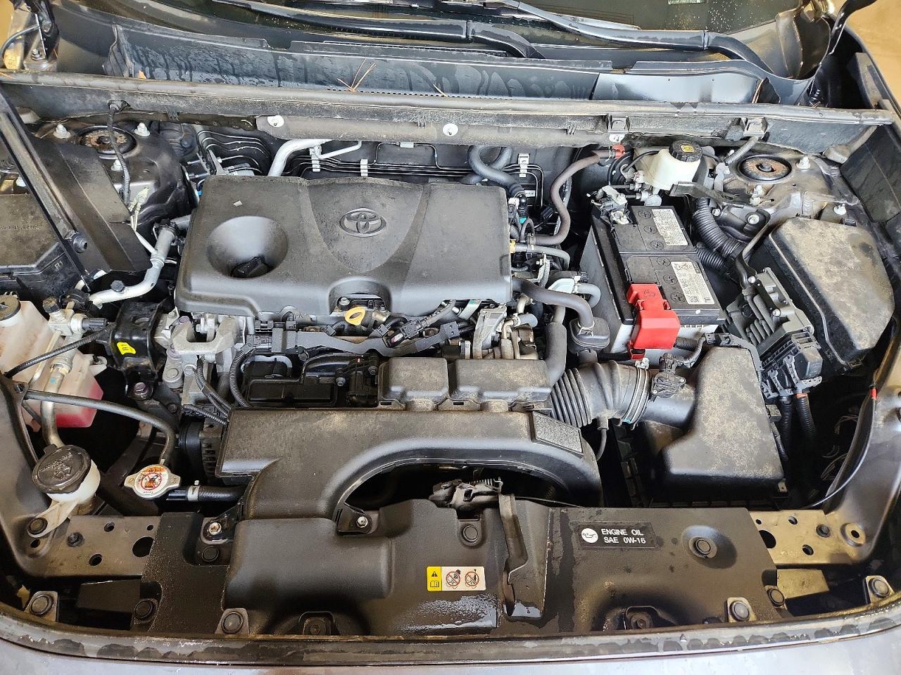 2021 TOYOTA RAV4 XLE photo 12