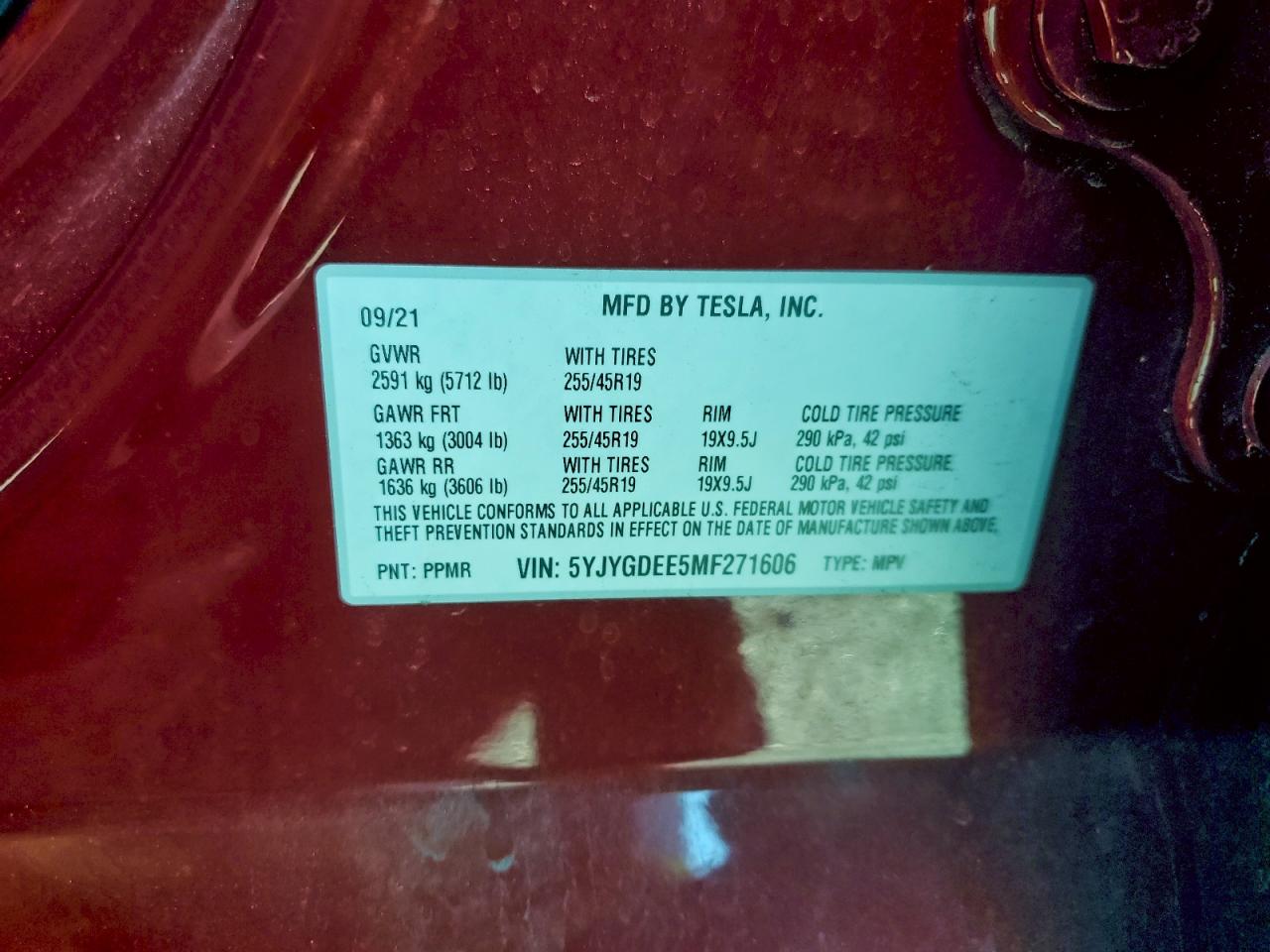 2021 TESLA MODEL Y photo 14