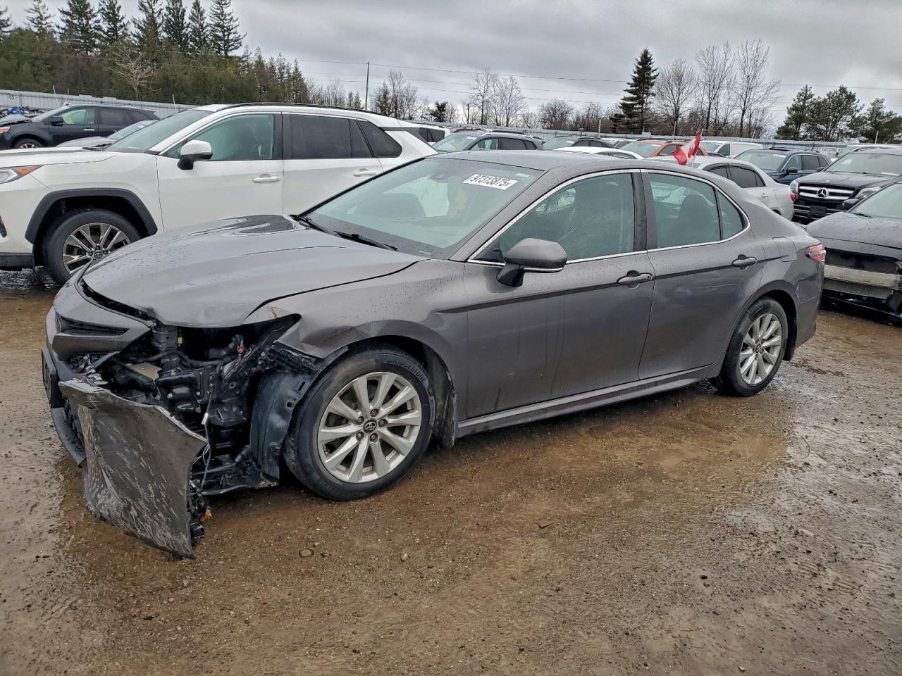 2019 TOYOTA CAMRY