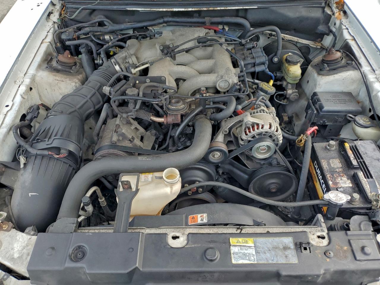 2003 FORD MUSTANG photo 11