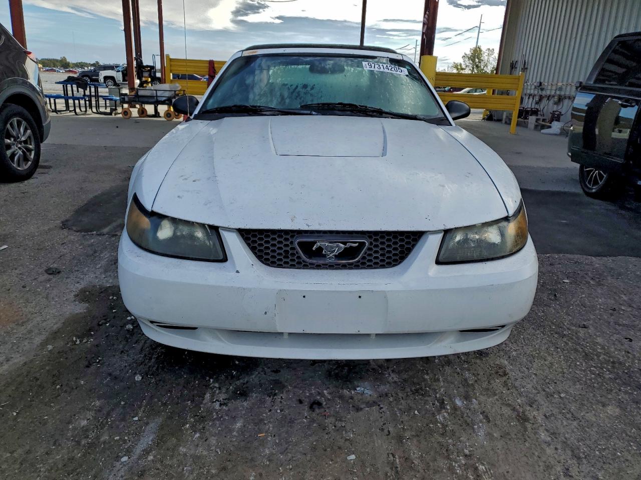 2003 FORD MUSTANG photo 5