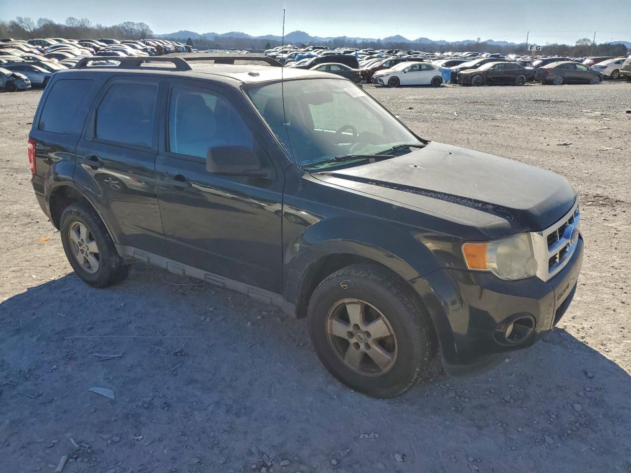 2010 FORD ESCAPE XLT photo 4