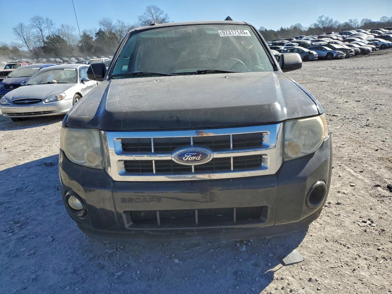 2010 FORD ESCAPE XLT photo 5