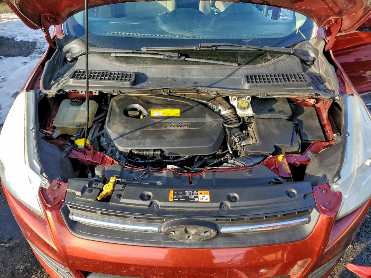 2016 FORD ESCAPE SE photo 12