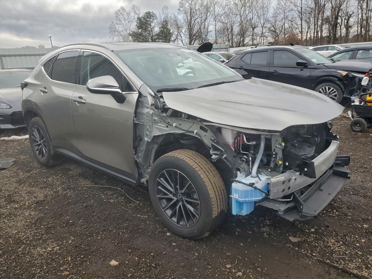 2024 LEXUS NX 350 PREMIUM photo 7