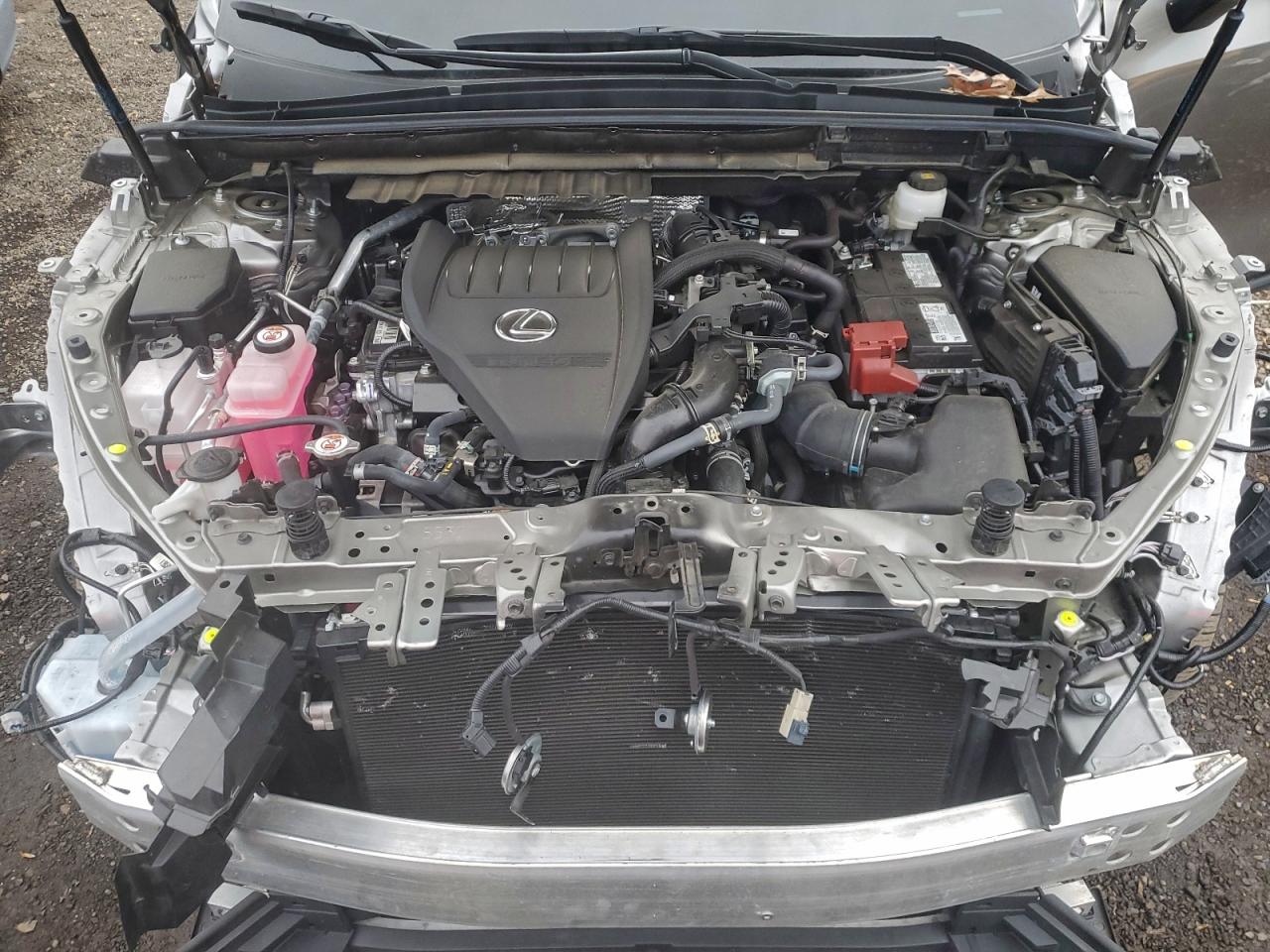 2024 LEXUS NX 350 PREMIUM photo 23