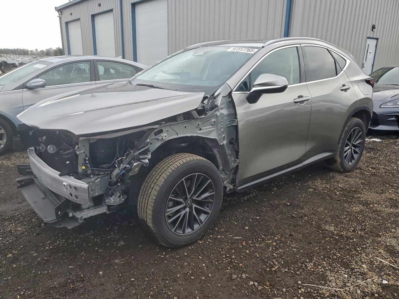 2024 LEXUS NX