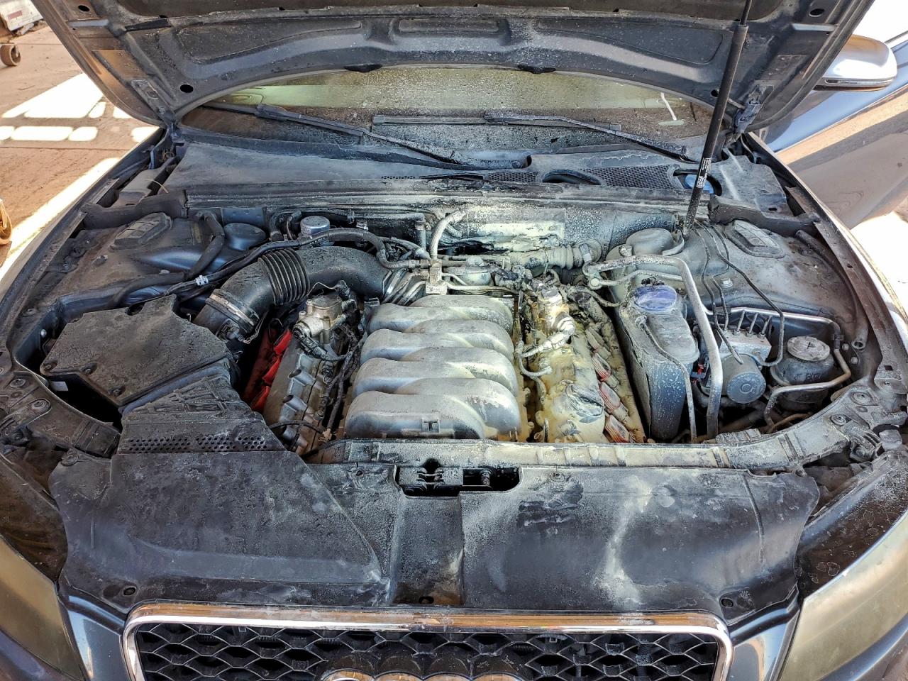 2009 AUDI S5 QUATTRO photo 21