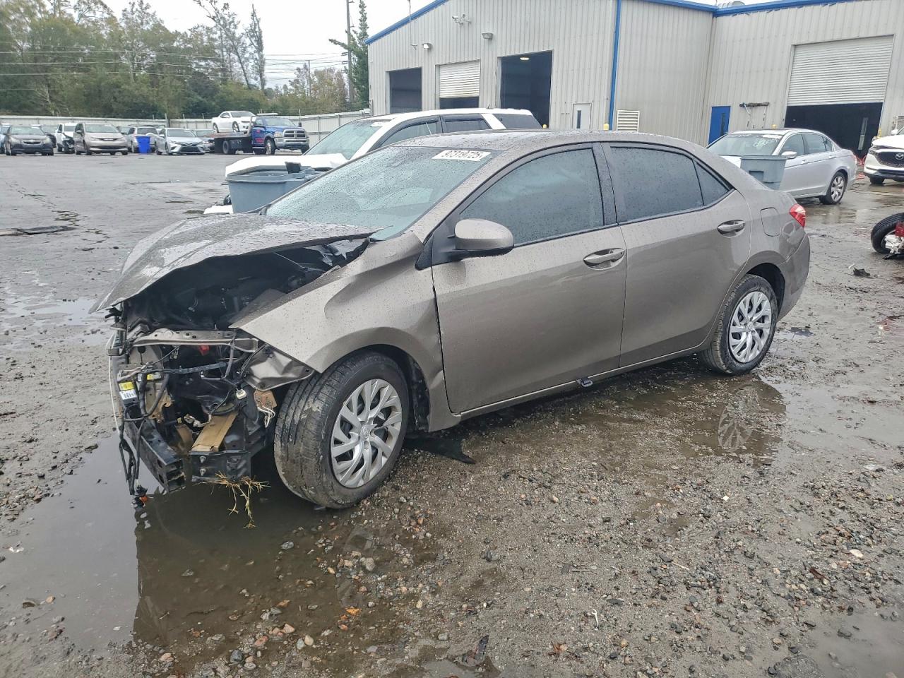 2019 TOYOTA COROLLA