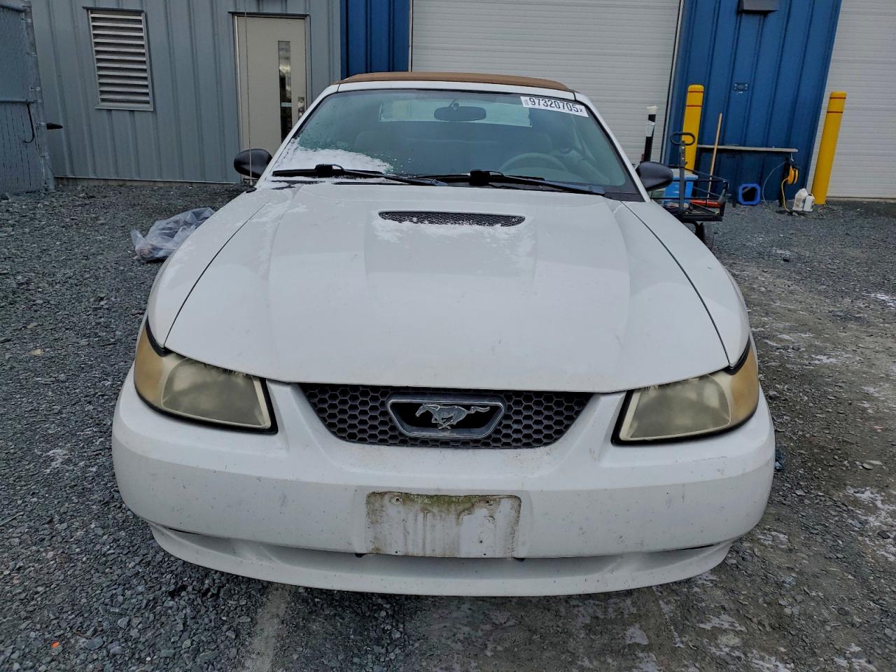 2004 FORD MUSTANG photo 5
