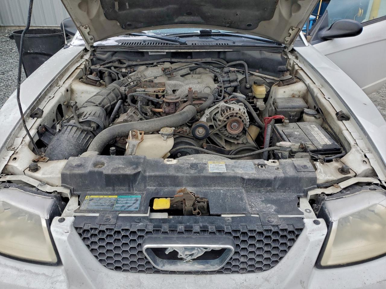 2004 FORD MUSTANG photo 11