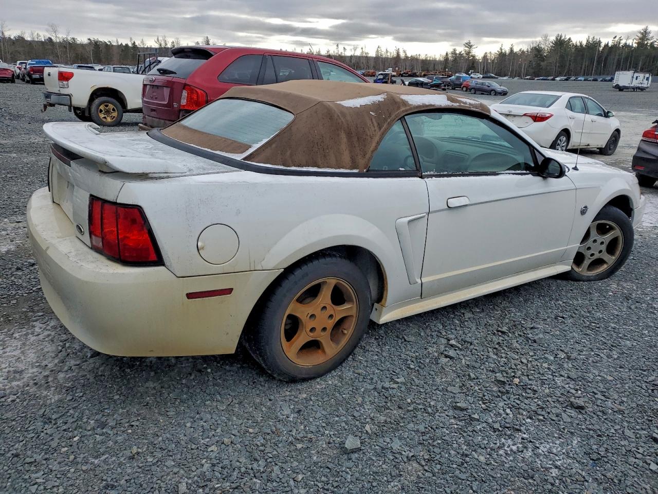 2004 FORD MUSTANG photo 3