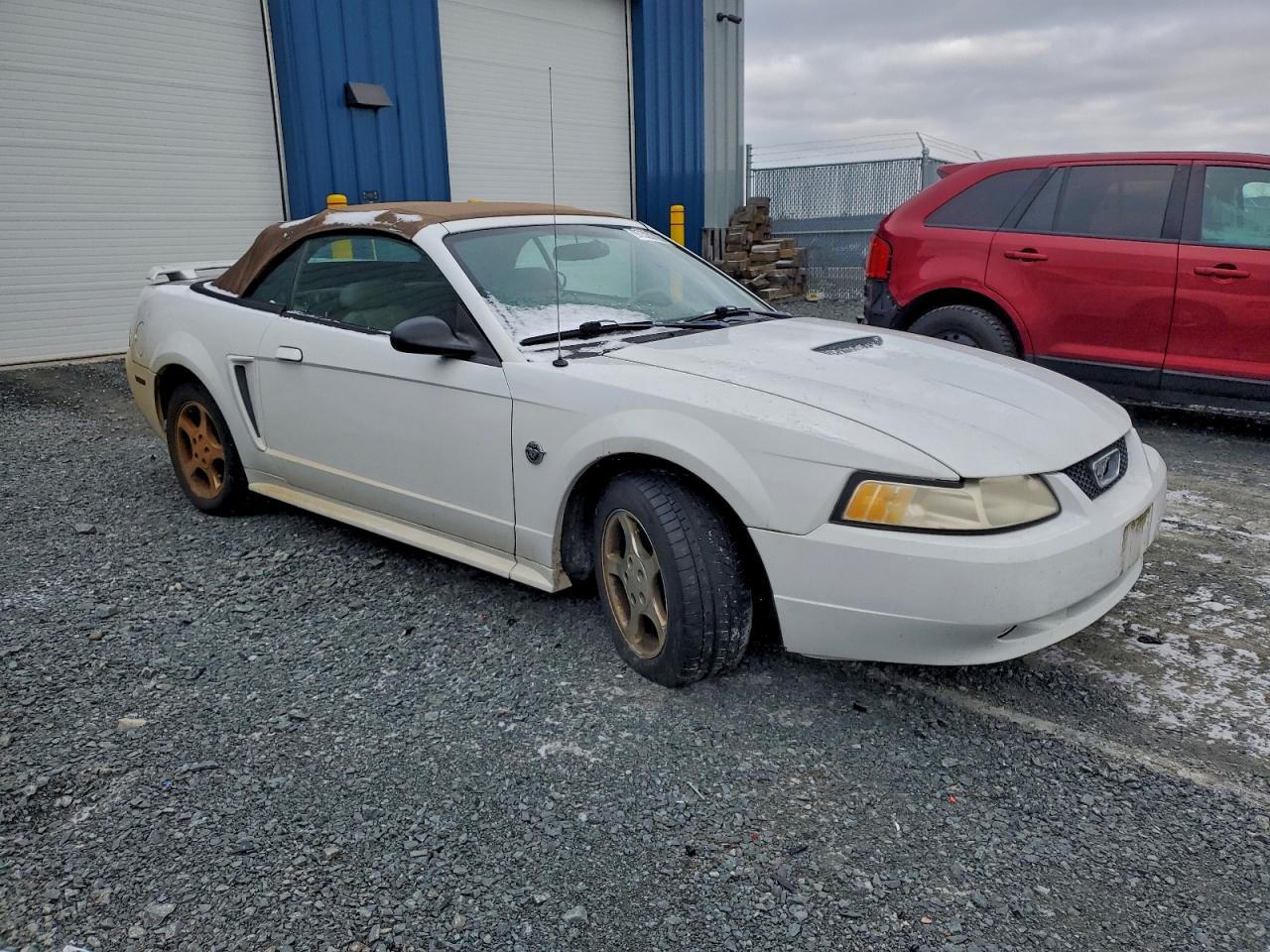 2004 FORD MUSTANG photo 4