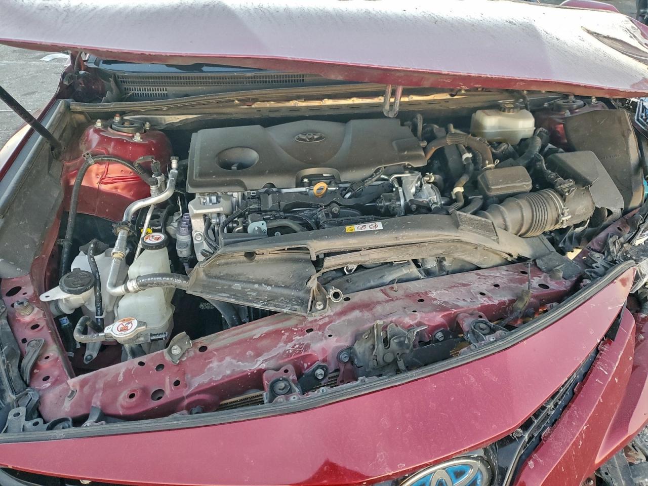 2020 TOYOTA CAMRY XLE photo 11