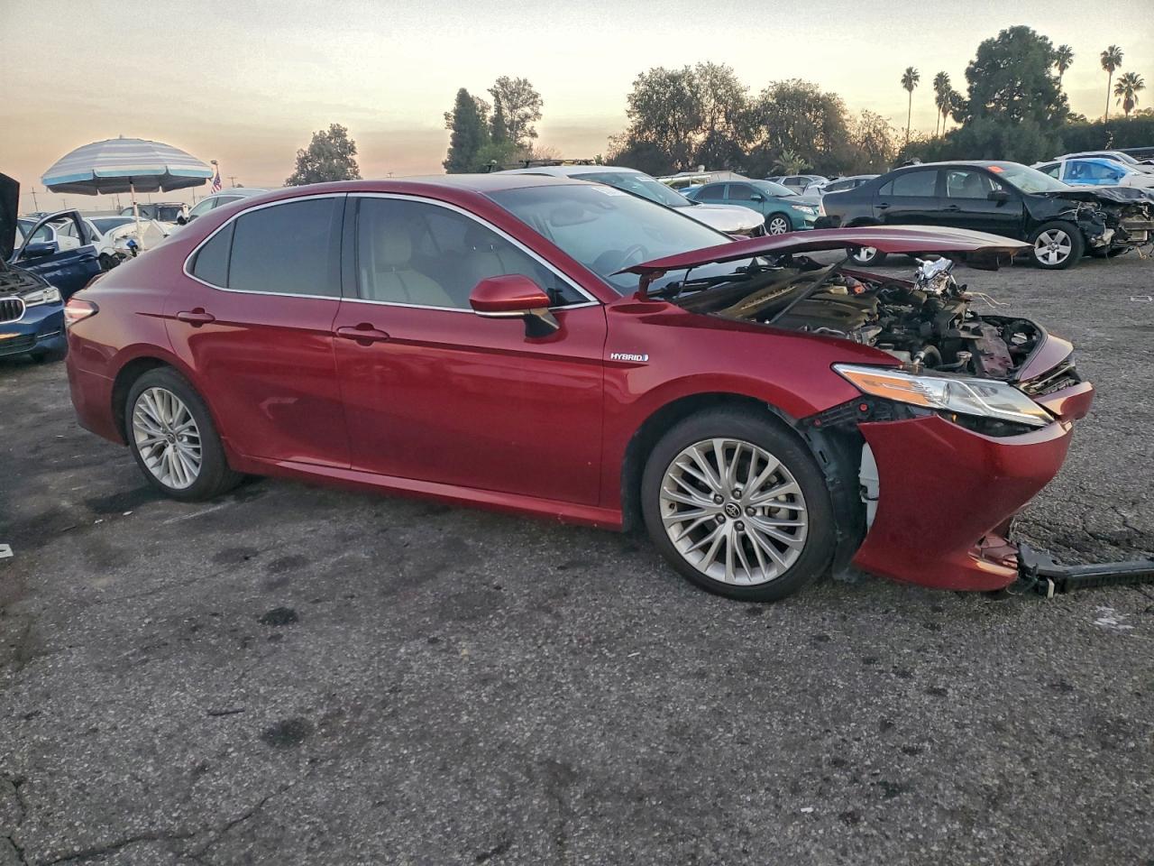 2020 TOYOTA CAMRY XLE photo 4