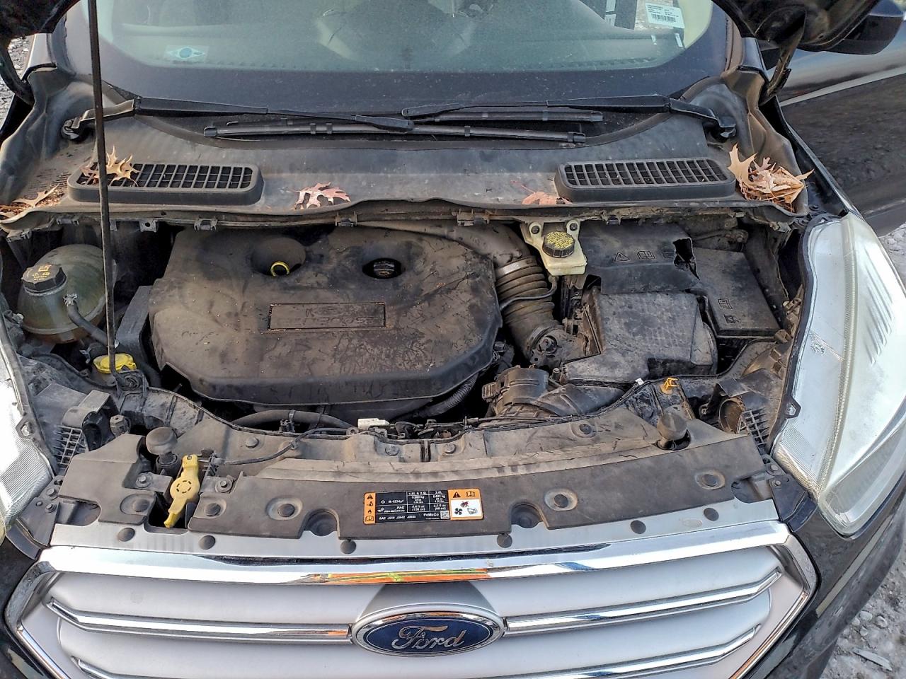 2017 FORD ESCAPE SE photo 11