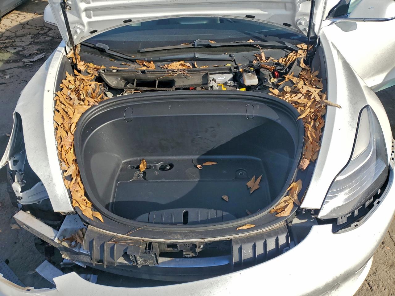 2019 TESLA MODEL 3 photo 20