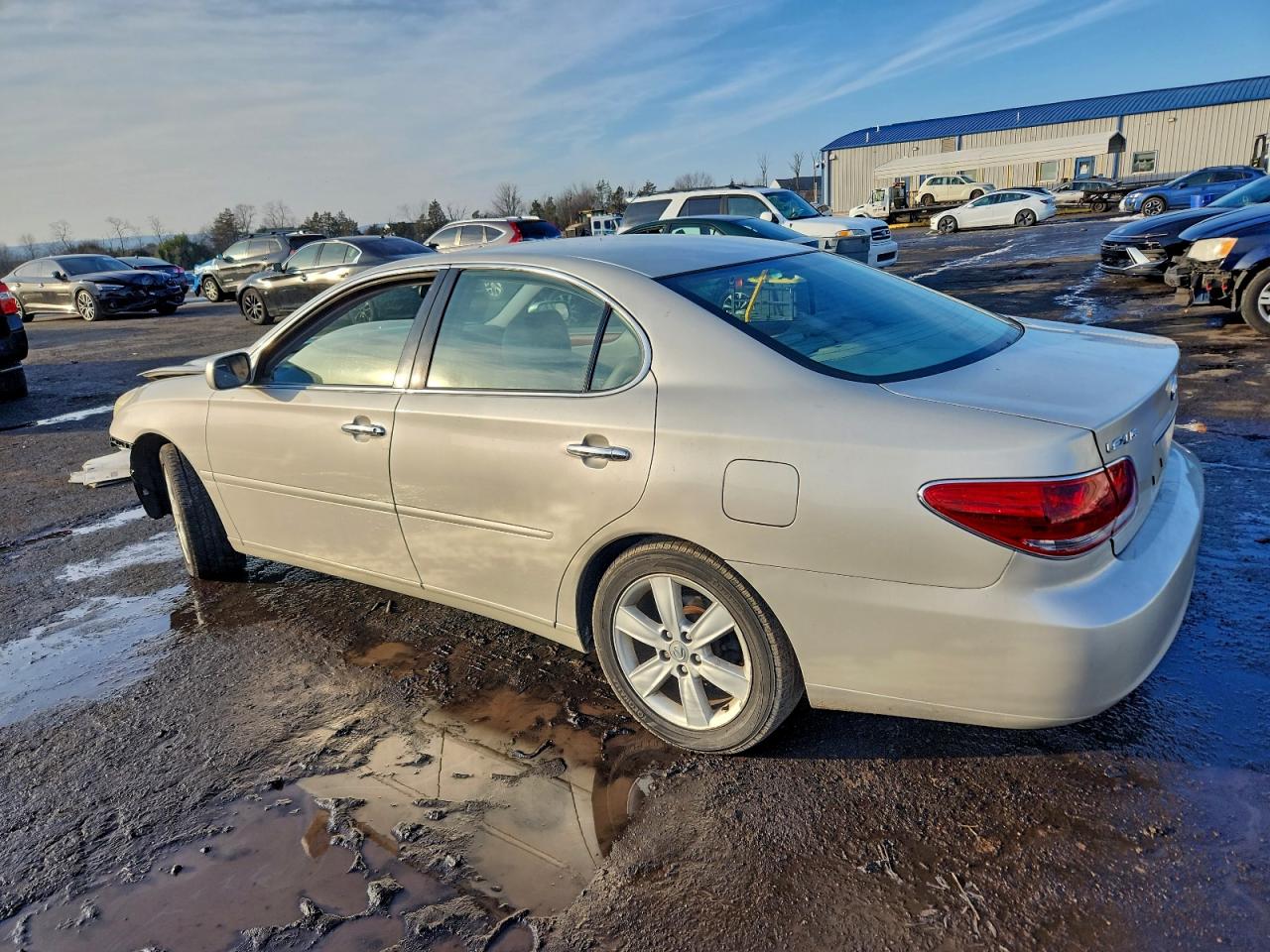 2005 LEXUS ES 330 photo 3