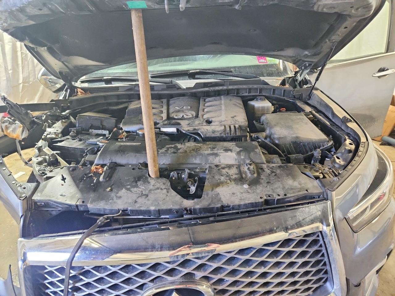 2019 INFINITI QX80 LUXE photo 12