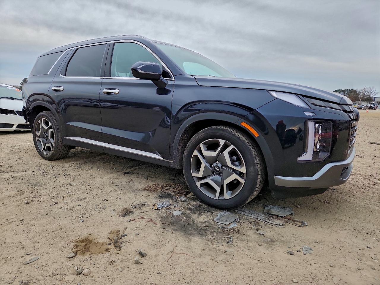 2024 HYUNDAI PALISADE SEL PREMIUM photo 4