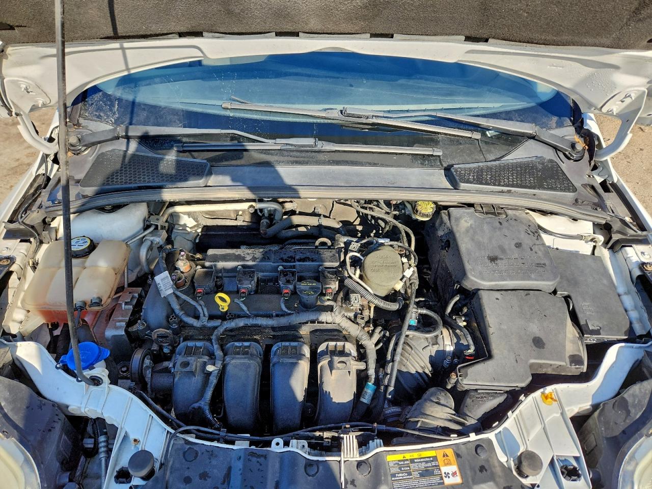 2013 FORD FOCUS SE photo 11