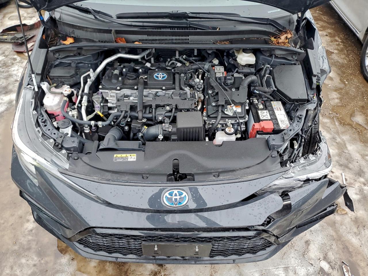 2024 TOYOTA COROLLA LE photo 11