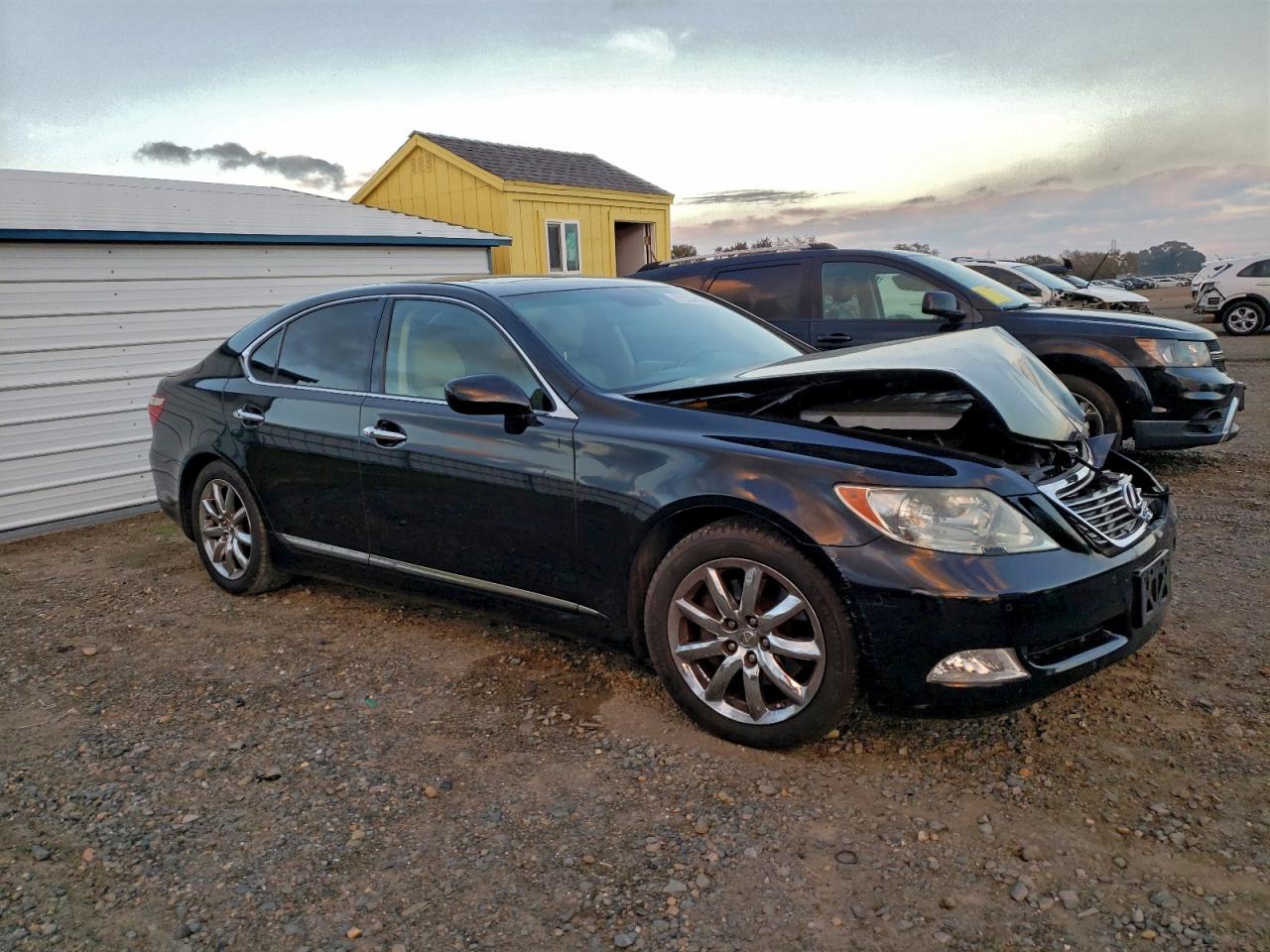 2008 LEXUS LS 460 photo 10