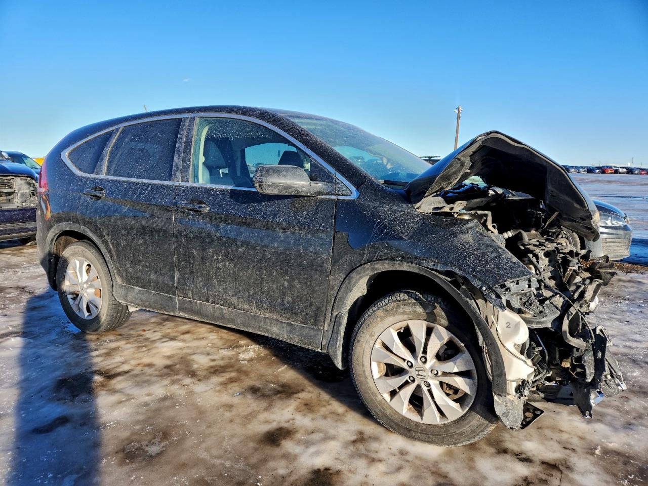 2014 HONDA CR-V EX photo 4