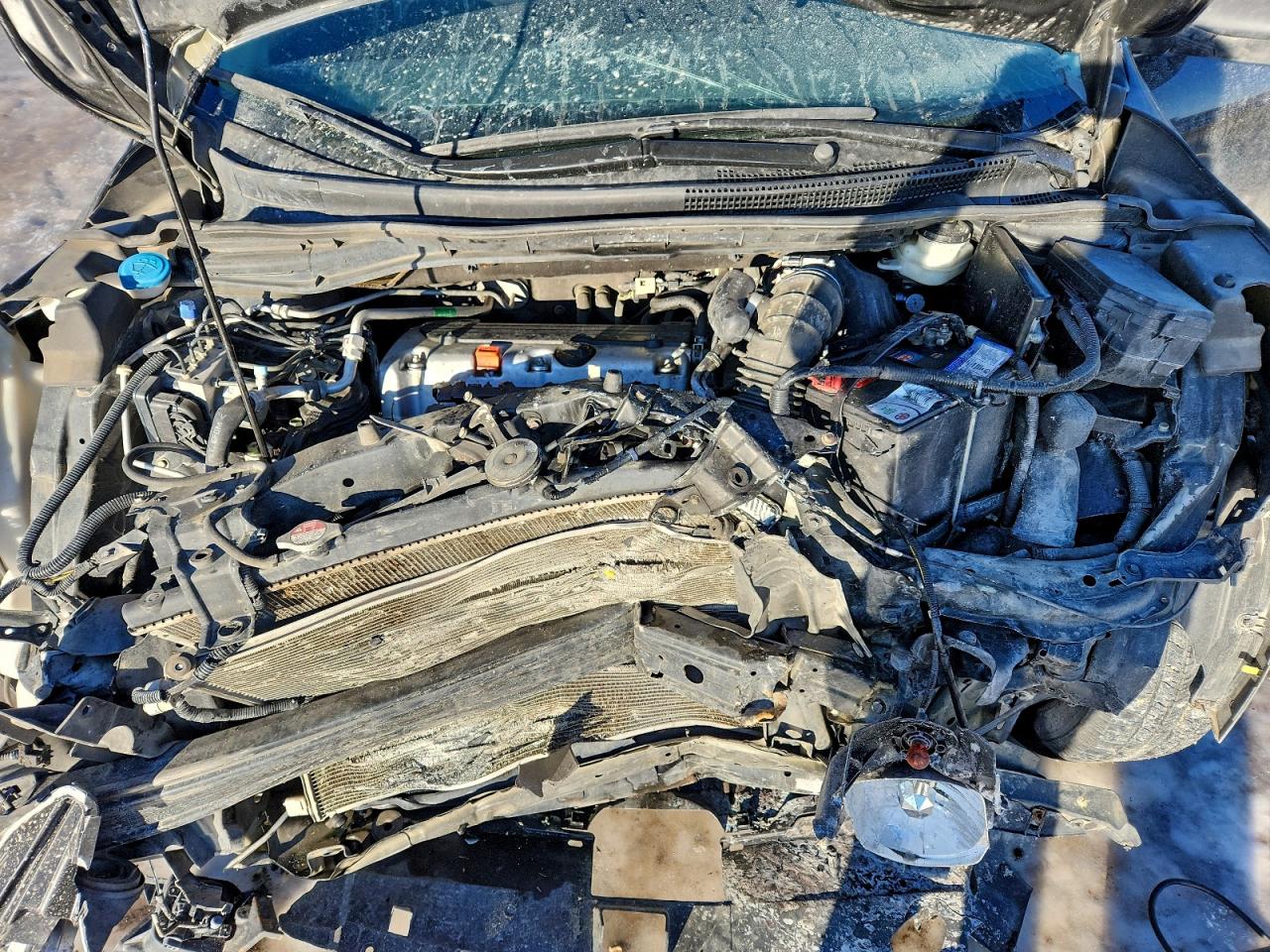 2014 HONDA CR-V EX photo 12