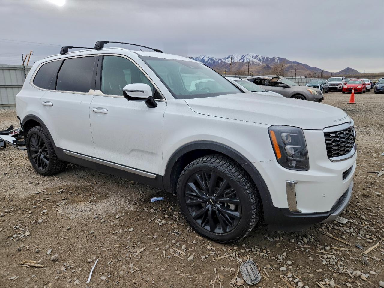 2021 KIA TELLURIDE SX photo 4