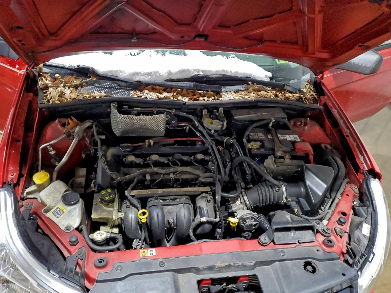 2008 FORD FOCUS SE photo 21