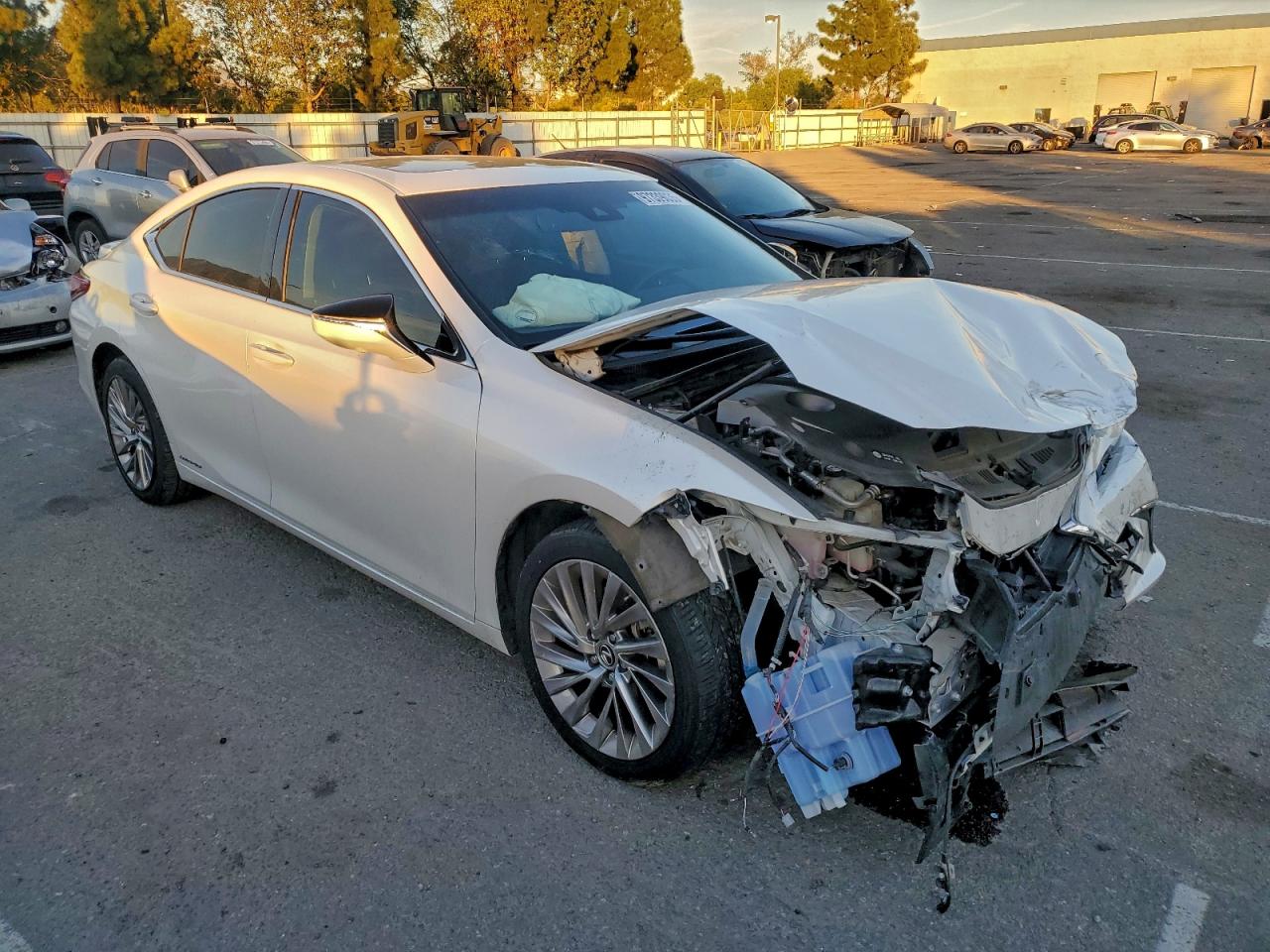 2019 LEXUS ES 300H photo 10