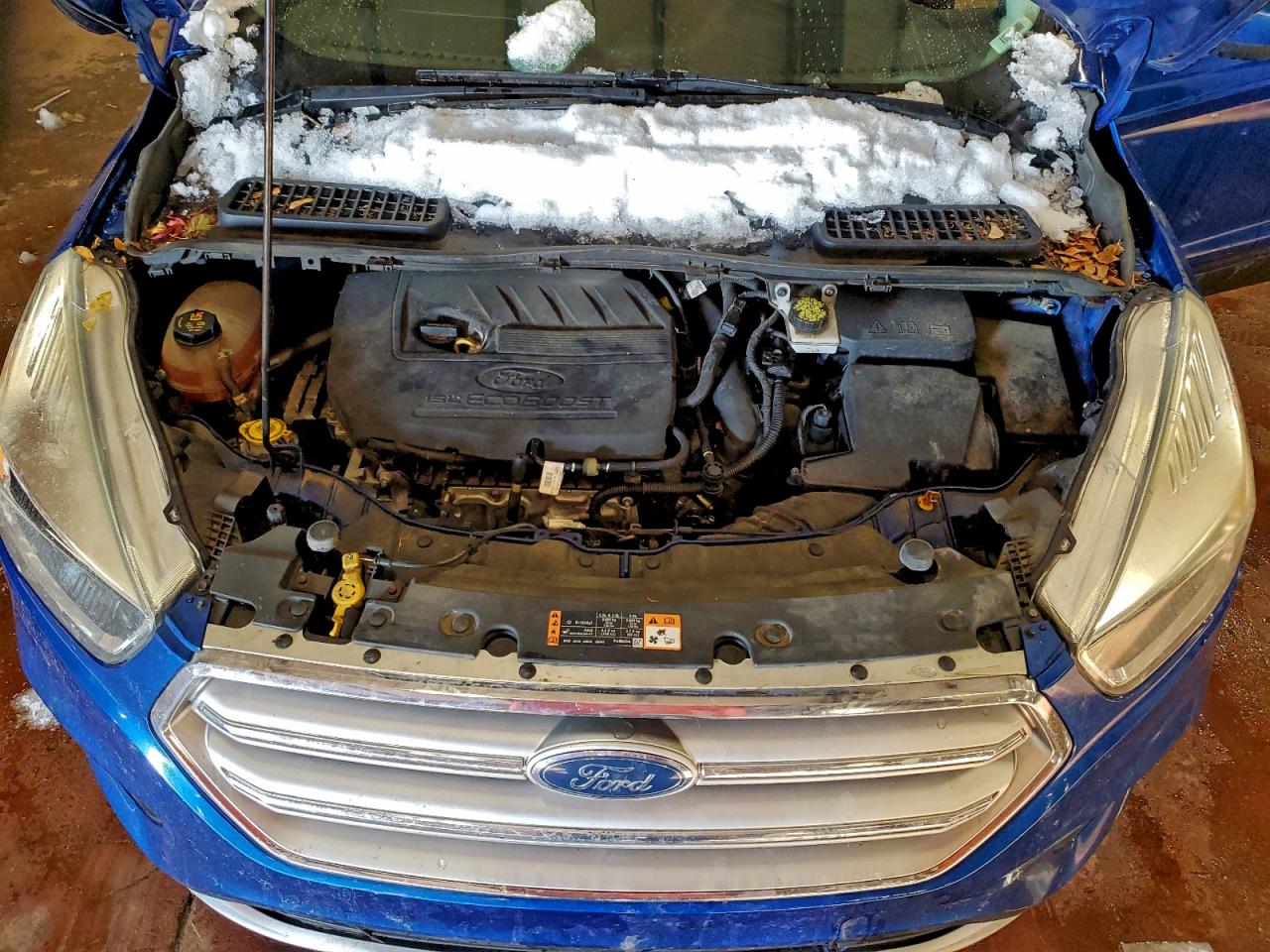 2017 FORD ESCAPE SE photo 34