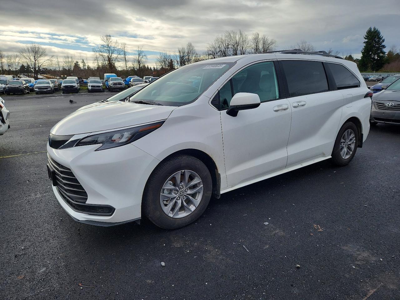 2025 TOYOTA SIENNA