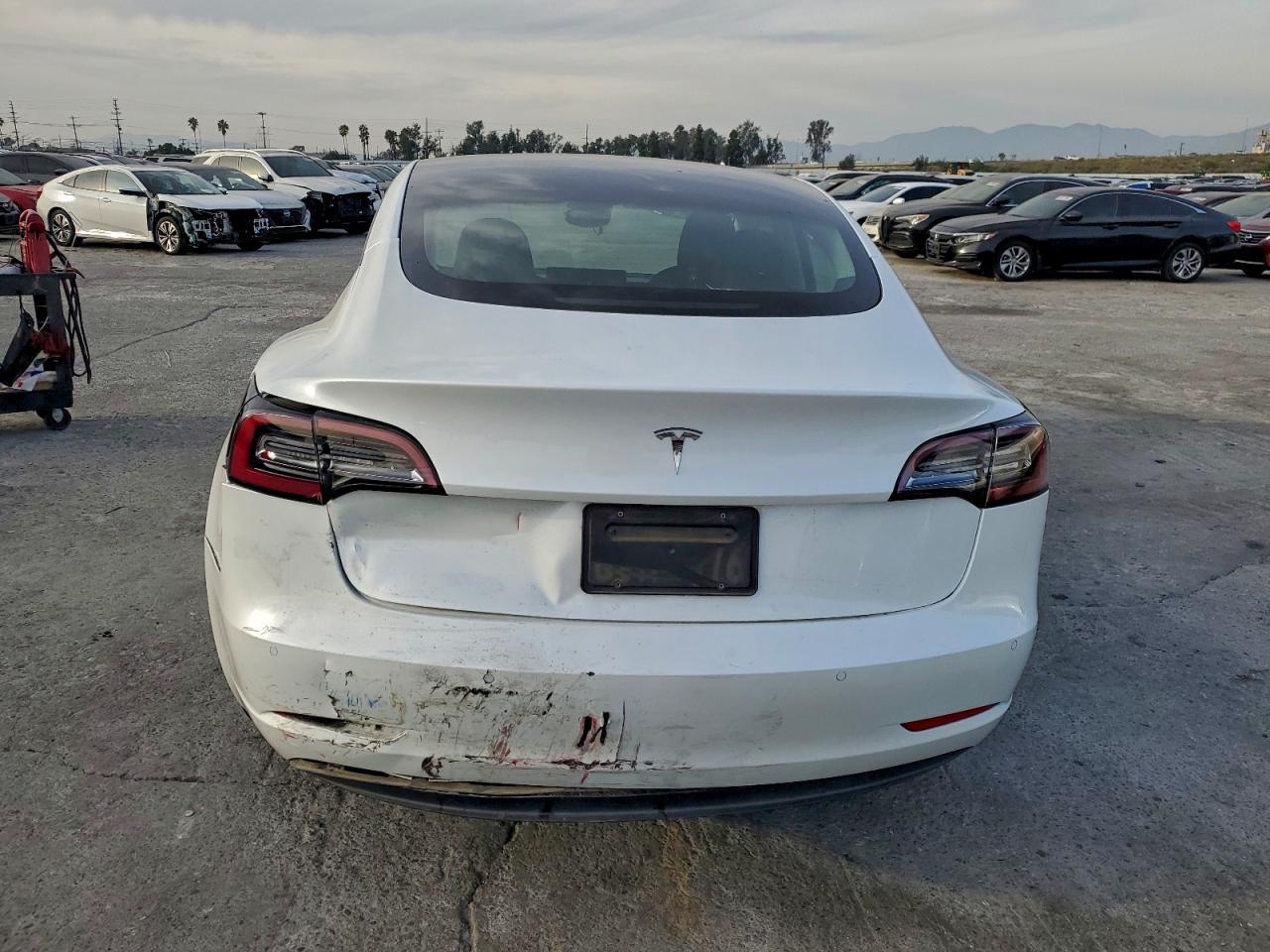 2021 TESLA MODEL 3 photo 6