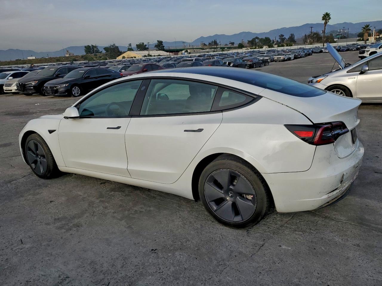 2021 TESLA MODEL 3 photo 2