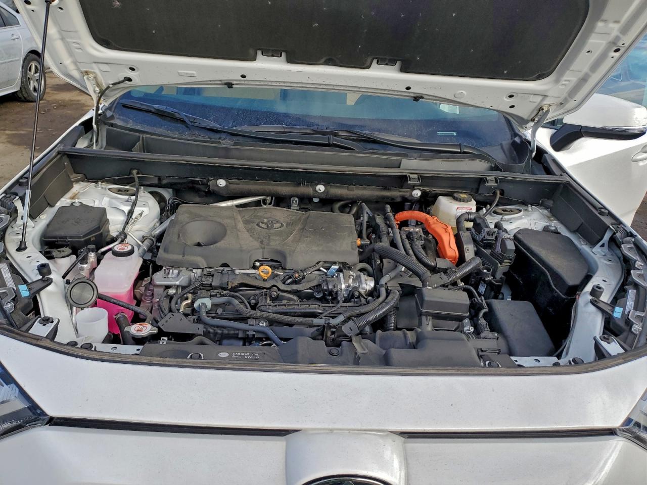 2025 TOYOTA RAV4 XLE photo 23