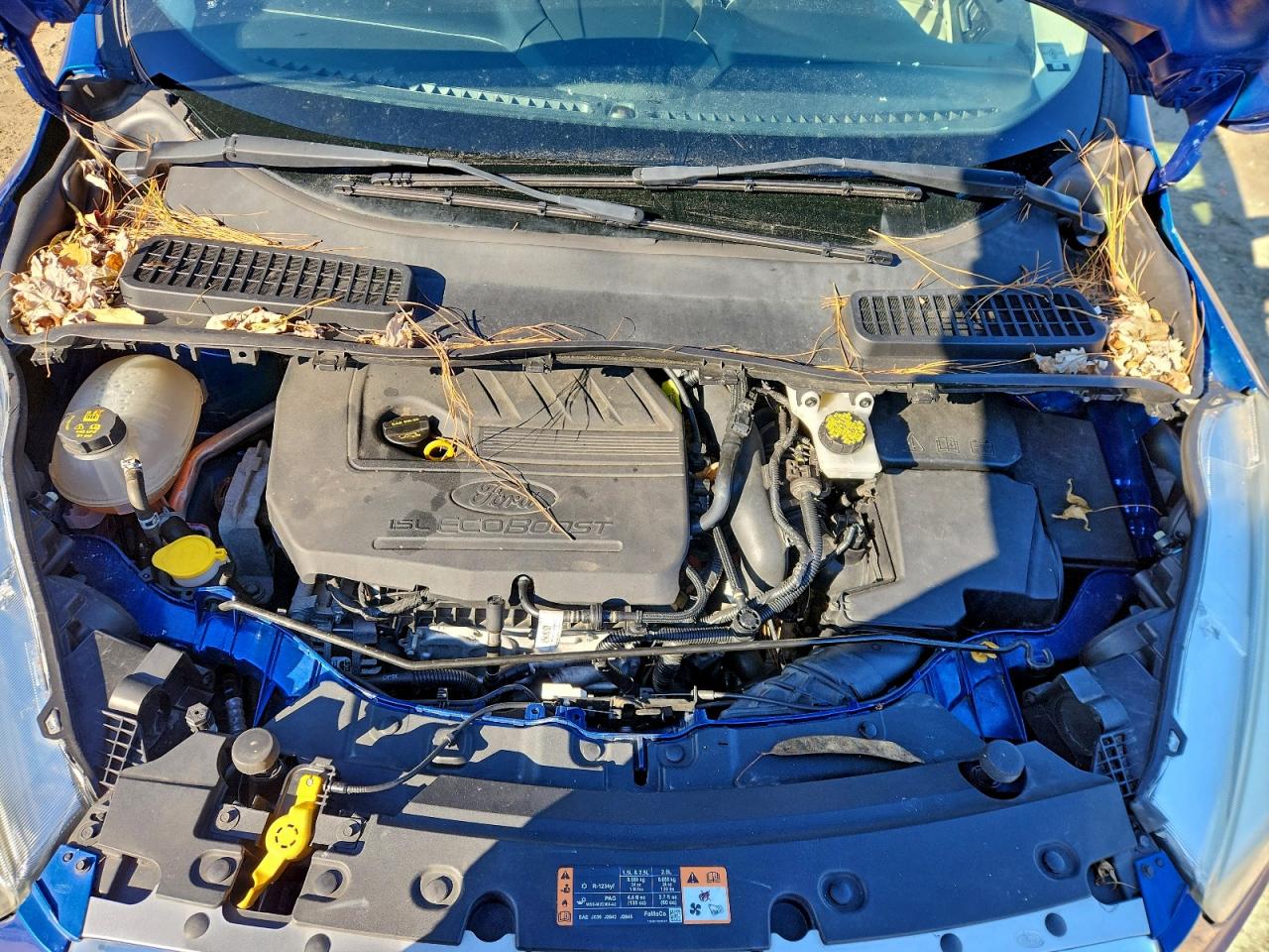 2017 FORD ESCAPE SE photo 23