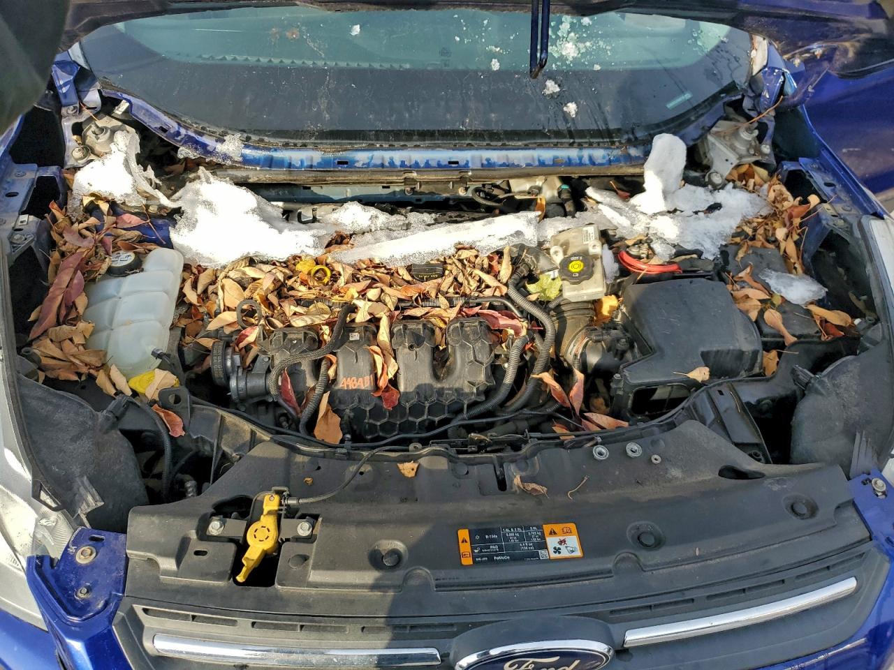 2013 FORD ESCAPE SE photo 31