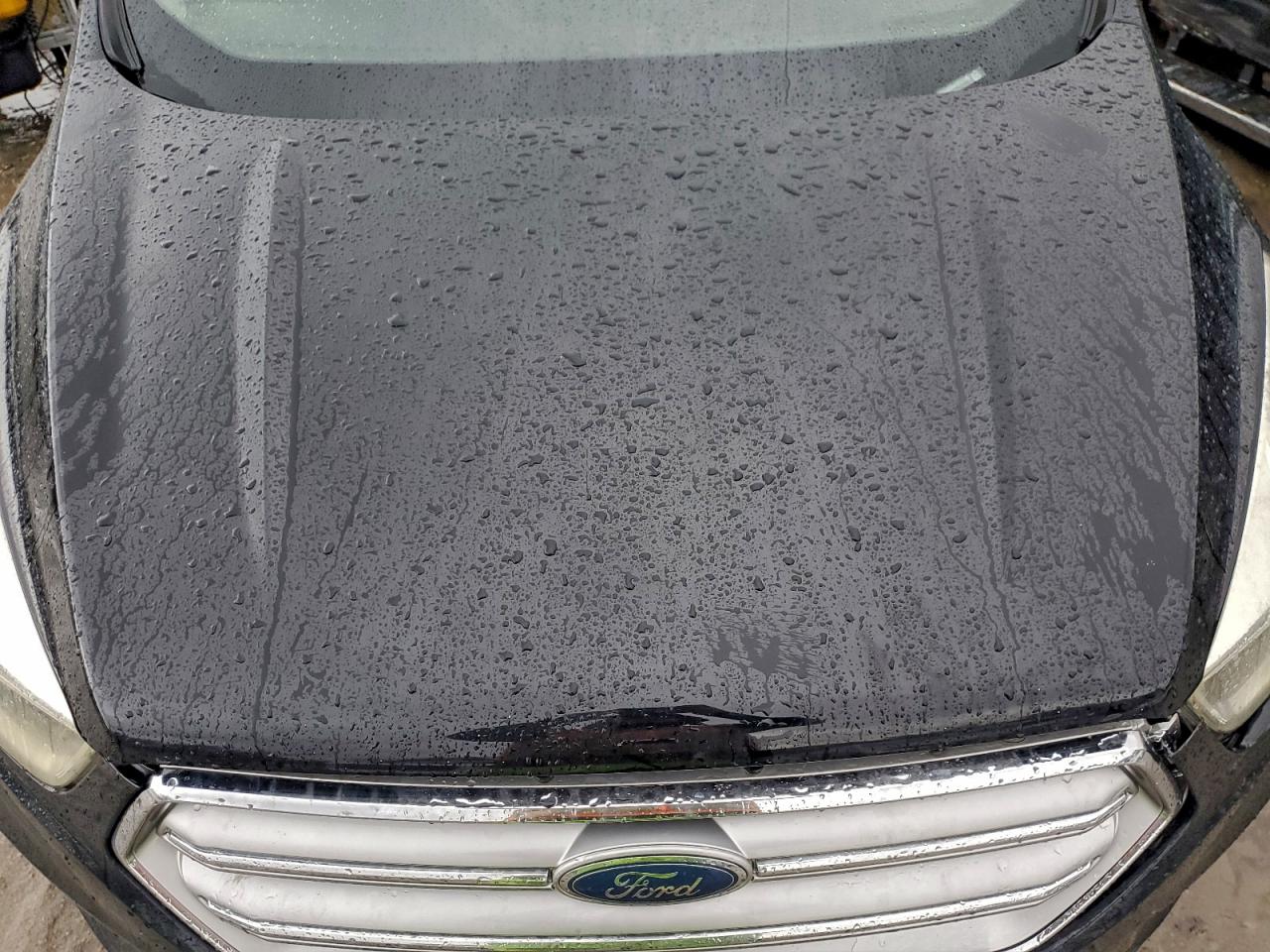 2017 FORD ESCAPE SE photo 12