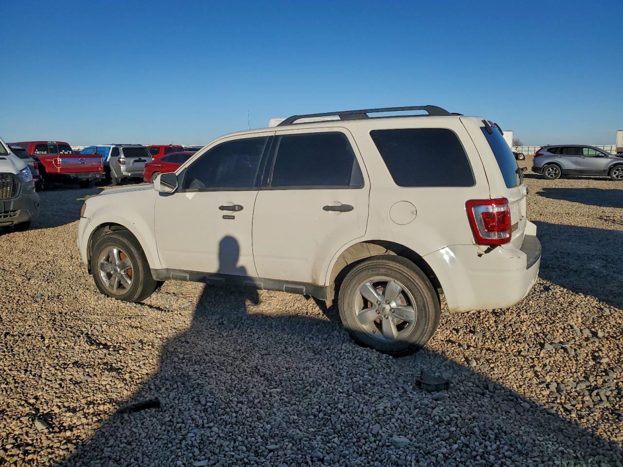2010 FORD ESCAPE XLT photo 4