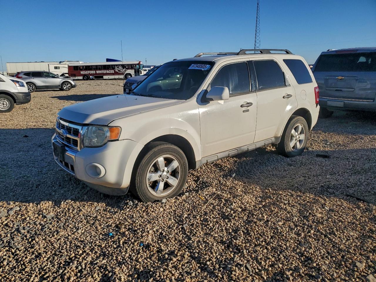 2010 FORD ESCAPE