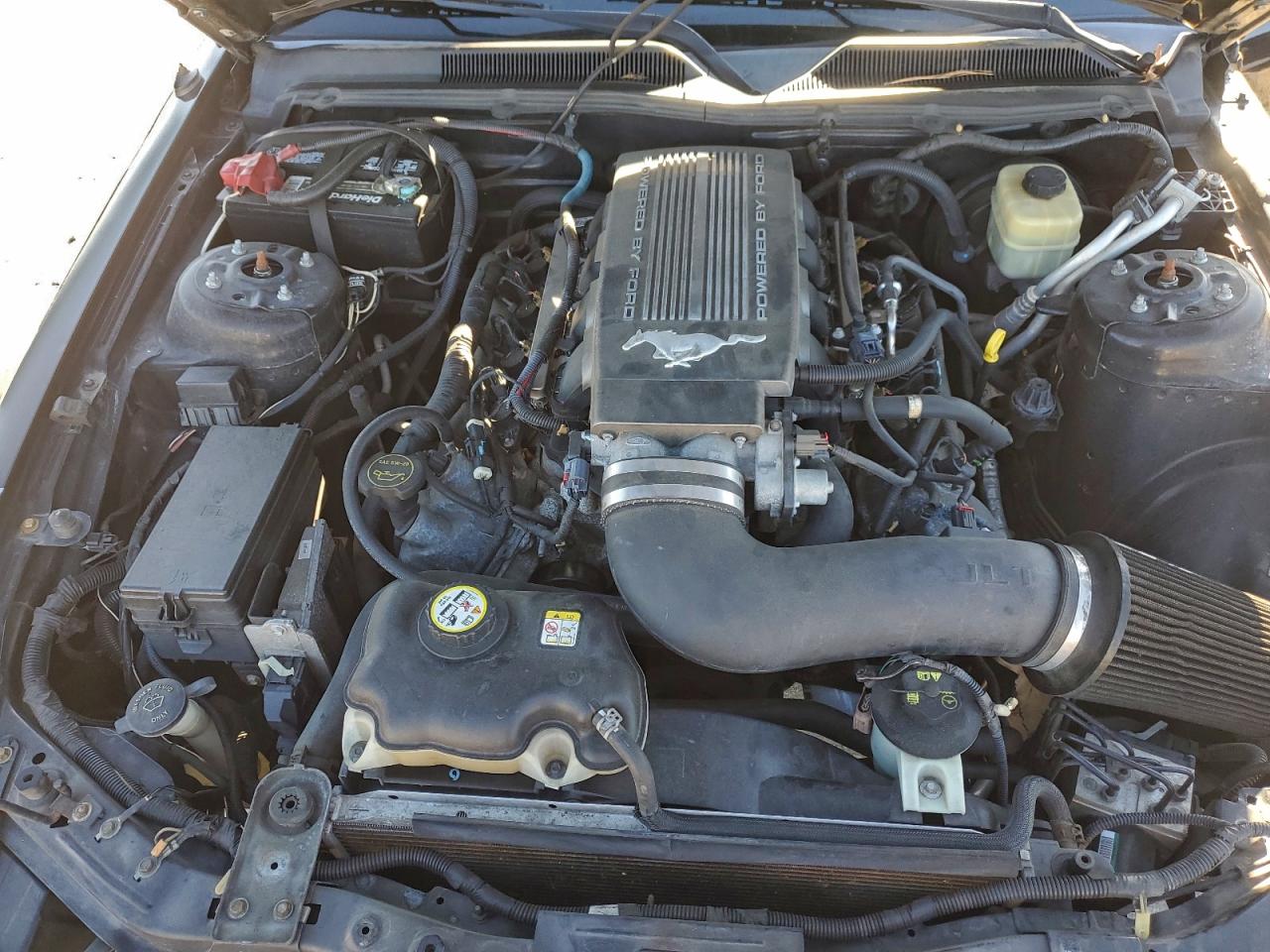 2008 FORD MUSTANG GT photo 31